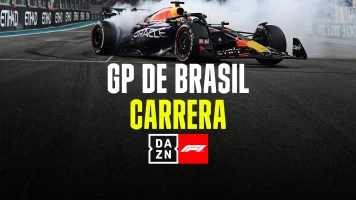 GP de Brasil (Sao Paulo). GP de Brasil (Sao Paulo): GP de Brasil: Carrera