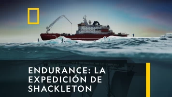 Endurance: La Expedición De Shackleton