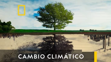 Cambio Climático