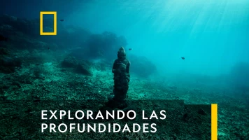 Explorando Las Profundidades