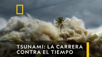 Tsunami: La carrera contra el tiempo