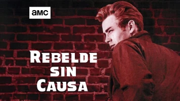 Rebelde sin causa