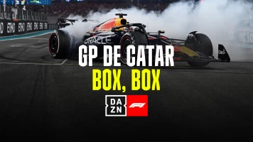 GP de Catar. GP de Catar: Box, Box