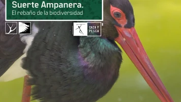 Suerte Ampanera, rebaño de biodiversidad