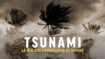 Tsunami: la ola que conmocionó al mundo