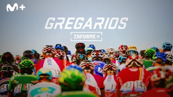 Informe Plus+. Gregarios. Ganar perdiendo