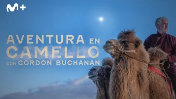 Aventura en camello con Gordon Buchanan