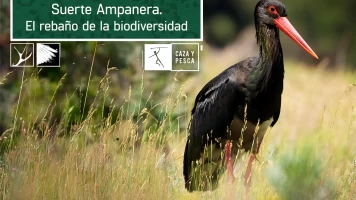 Suerte Ampanera, rebaño de biodiversidad