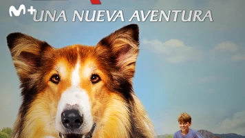 Lassie. Una nueva aventura