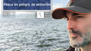 Pesca en peligro de extinción: pesca a la allerana