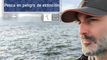 Pesca en peligro de extinción: Congrios con cuerda