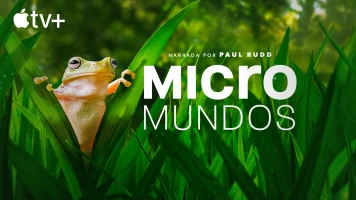 Micromundos