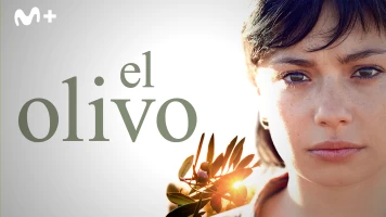 El olivo