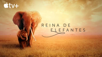 Reina de elefantes