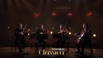 Beethoven - Complete String Quartets VI