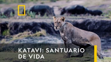 Katavi: Santuario de vida