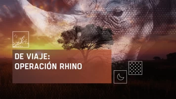 De viaje: Operación rhino