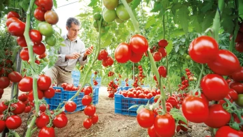 Diario de campo