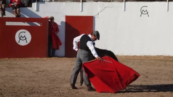 Tierra de toros