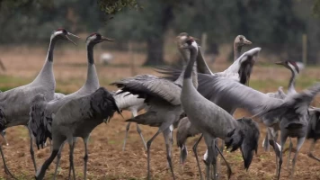 Extremadura, el paraíso natural de Europa