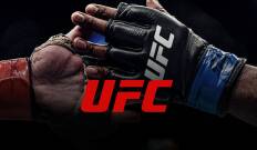 Ultimate Fighting Championship