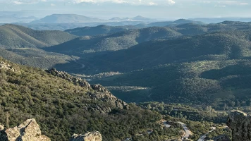 Los habitantes ocultos de Sierra Morena