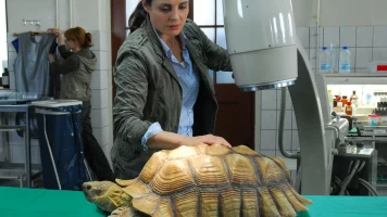 Doctora en el Zoo