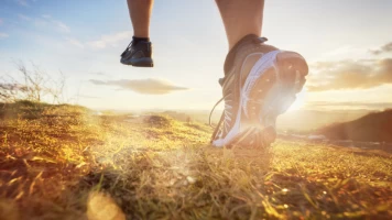 Cross Internacional Atapuerca. T(2024). Cross... (2024): Carrera masculina